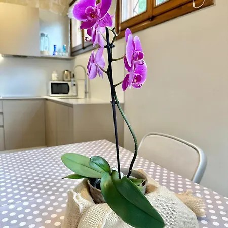 Apartment Diamante